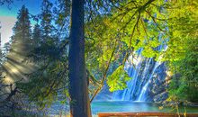 做生意正能量的句子