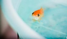 聚少离多的心碎句子