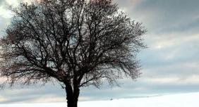 婚姻是爱情的坟墓