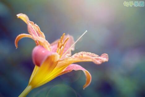 1．有句话藏在我心中很久