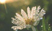 表现亲情伟大的句子