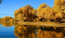 回忆往事的感慨句子