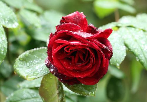 编辑编辑了一些有关家庭温暖和我内心的句子