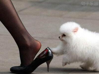 推门的第一句话是：我突然有强烈的学习冲动