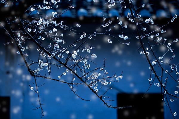 无论是刮风还是下雨