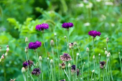 所以我曾经哭过要被媒体录取