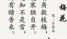关于梅花的诗句大全