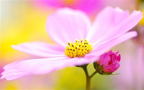 流行是一种考验