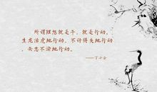 不计得失的名言