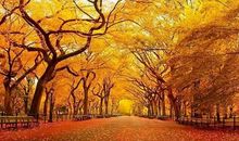 描写景色优美的唯美句子