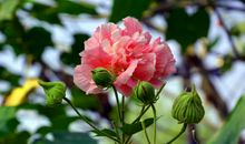 愿年年如此的开心句子