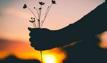 形容对爱情后悔的句子