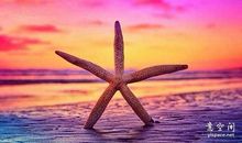 后悔不能回头的句子