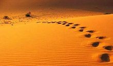 人生哲理的句子100句