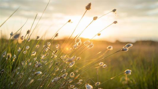 编辑编辑了一些有关表达父子感情的句子