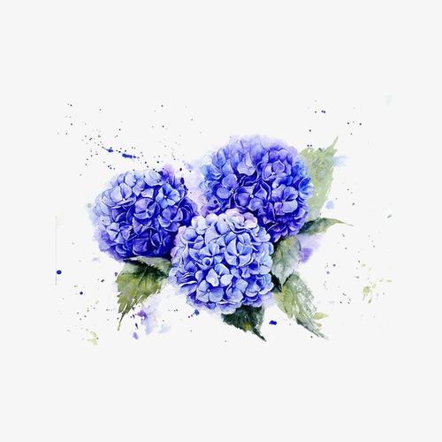 美丽的脸总是让人看起来很高兴