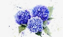 形容开心又美丽的句子