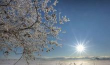 冬季写景的诗句