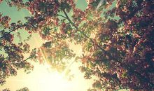 春天让人开心的句子