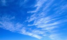 心烦心累没人能体会的句子