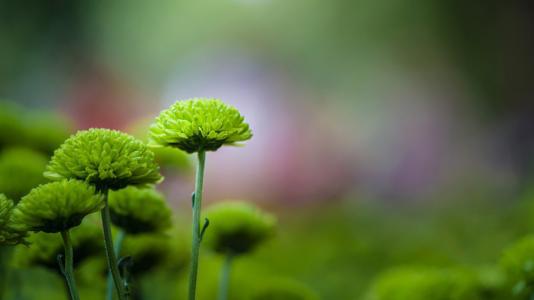 请欣赏有关家庭之爱的世界上最昂贵的句子的汇编