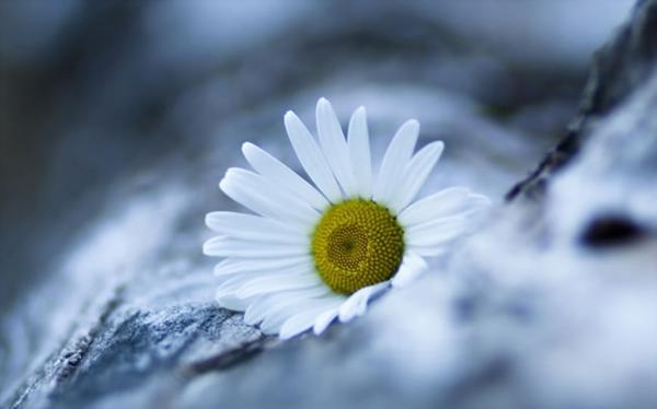 您是一个独特的人