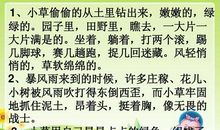 描写草的句子