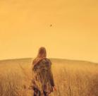 以下是对现实失望的每个人的句子