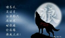 狼图腾经典格言