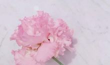 对婚姻生活的失望的句子