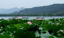 关于西湖的优美句子