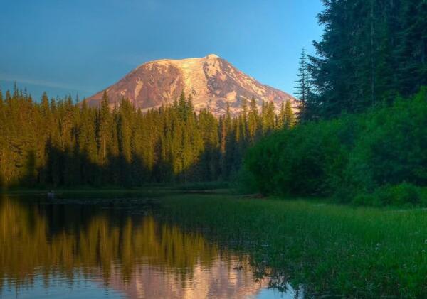 朋友微信圈中最美的句子是什么