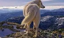 励志报仇的句子