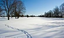 描写冬天景物的成语