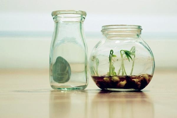 第19号经典语录 1