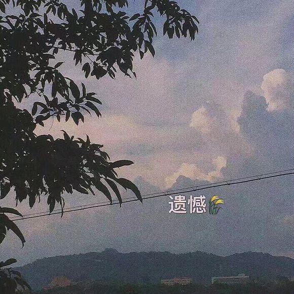 春雨不停