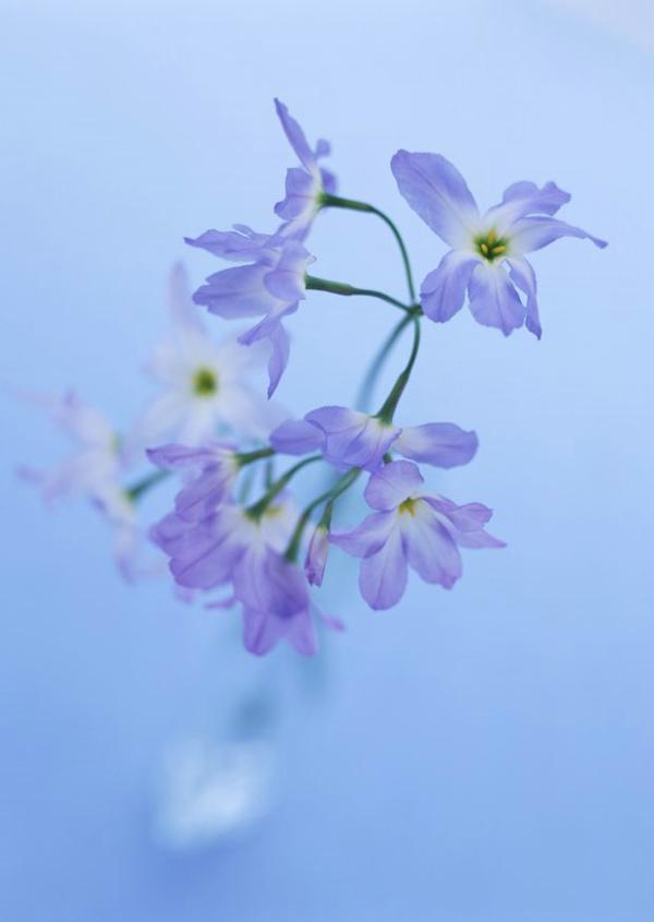 婚姻和家庭的根本意义在于