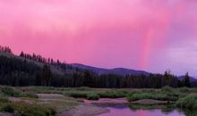 有关于书的优美句子