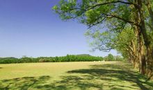 励志的优美句子