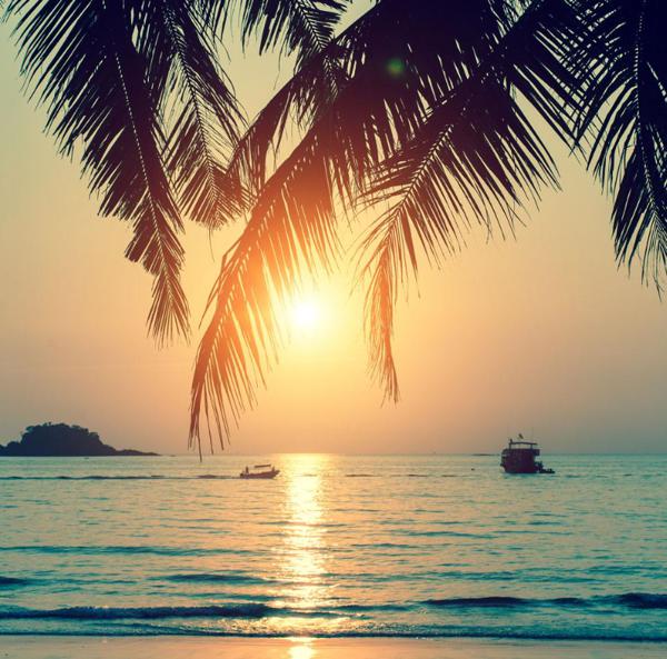 义德也很有才华