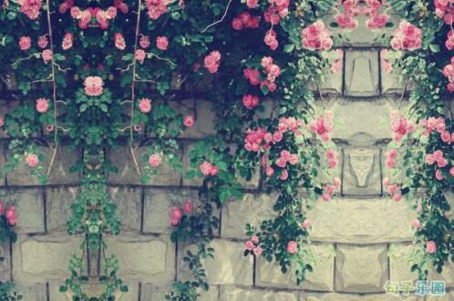 真正被冤things的事情常常不得不与另一件事一起大叫