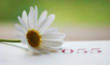 看透人生的句子