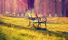 关于淡淡秋季的思念句子