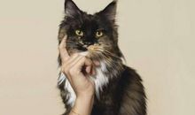 搞笑幽默的句子