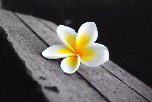 那么您就不应该拥有我最好的一面