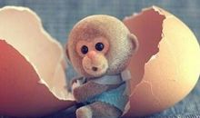 经典雷人搞笑语录：不管你什么时候遇见我，那都是你的福气