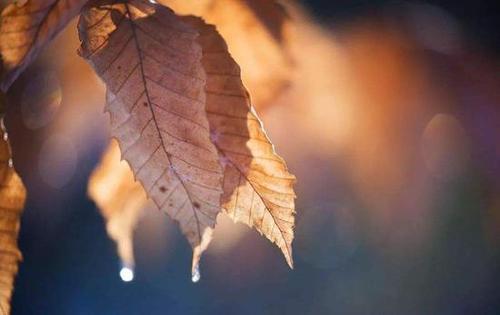 以下是网络中非常热门的一句话