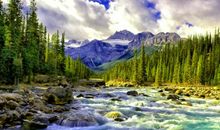 2020笑死人不偿命的个性签名