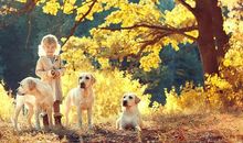 宝贝们在阳光下开心的句子