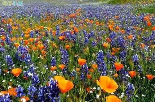 您必须找到一个甚至可以回答您的废话的人